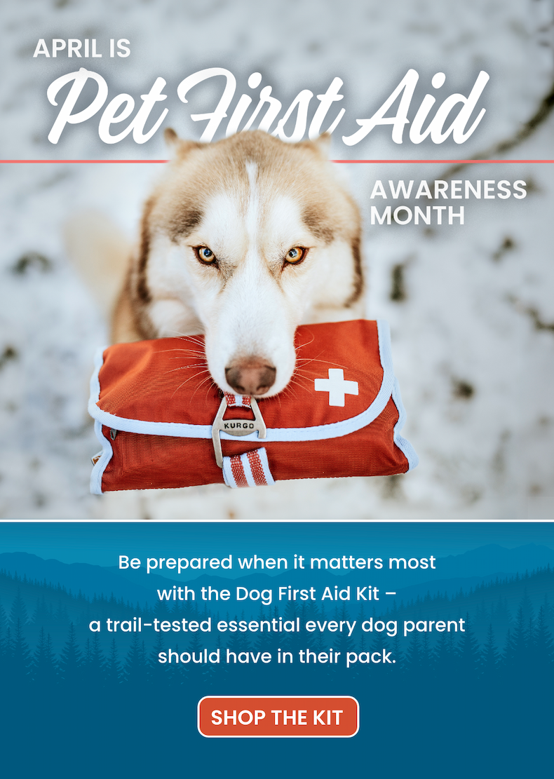 April is Pet First Aid Awareness Month. Be prepared when it matters most with the Dog First Aid Kit