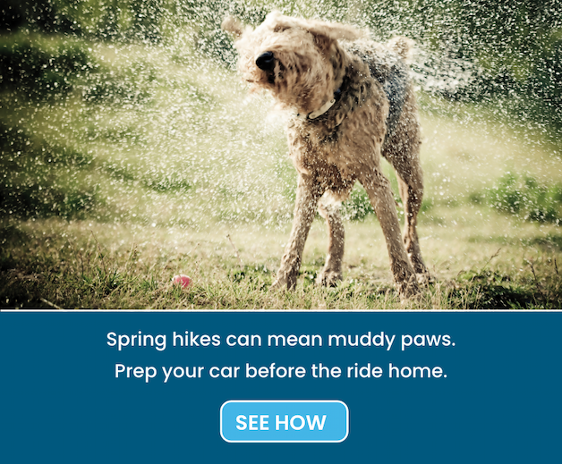 Spring hikes can mean muddy paws. See how to prep your car before the ride home.