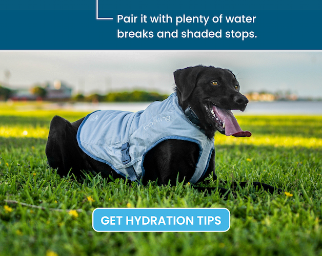 Hydration tips