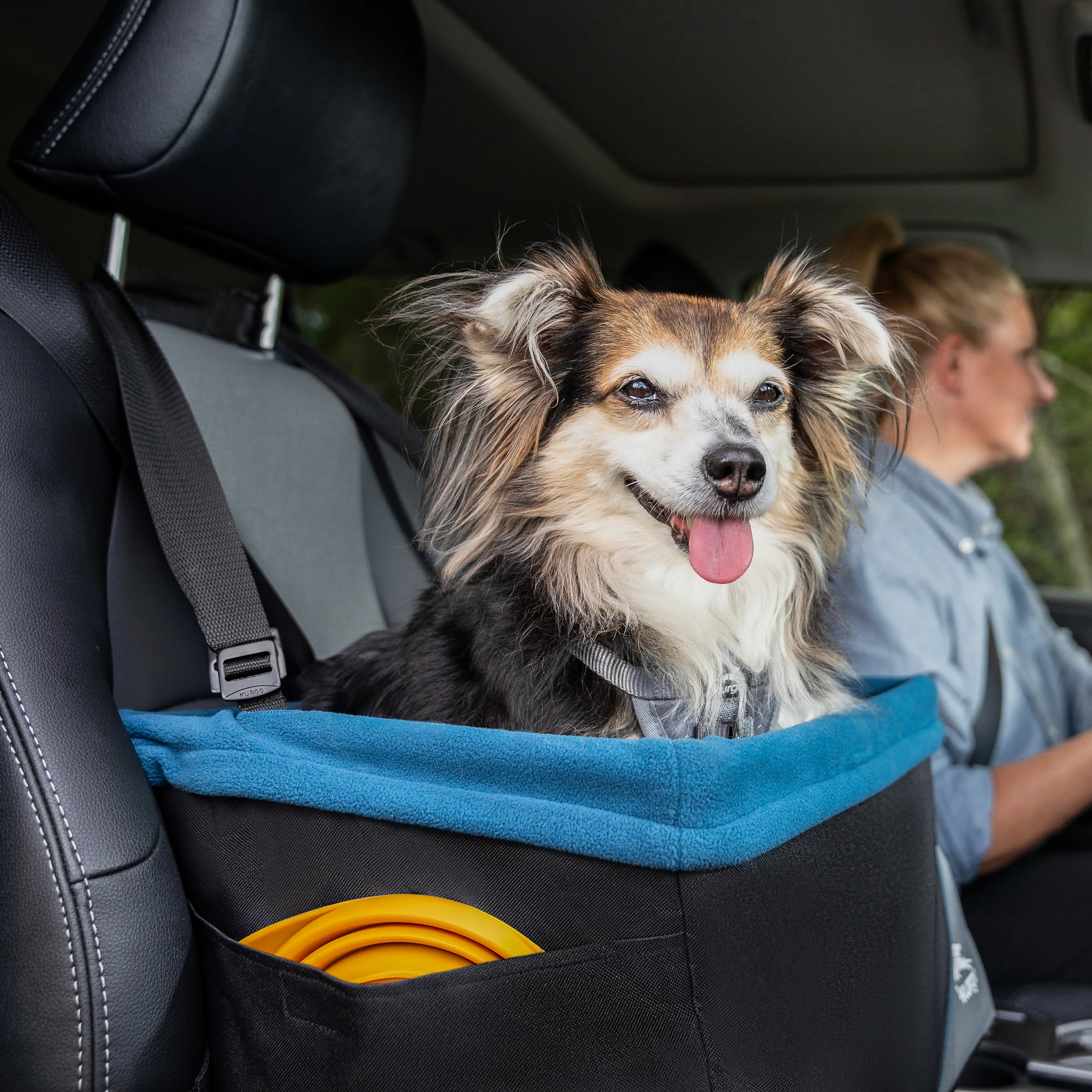 Image of Rover Dog Booster Seat