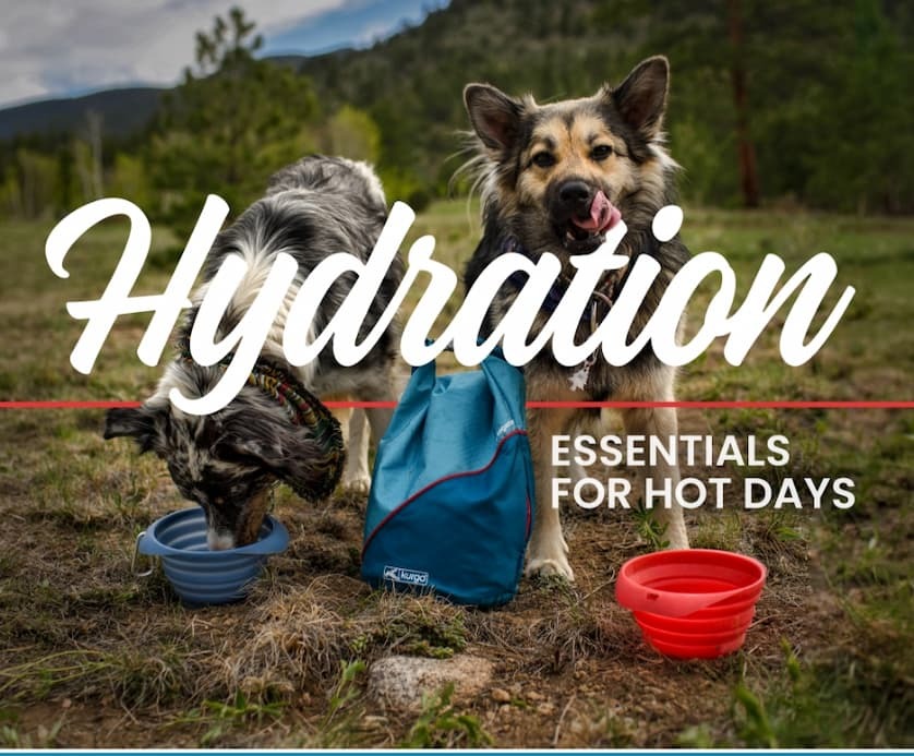 Hydration Essentials for Hot Days