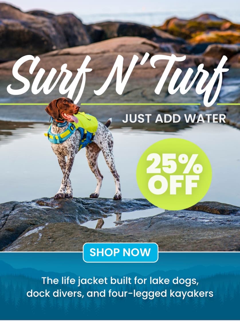 Surf N' Turf 25% OFF - Just add water