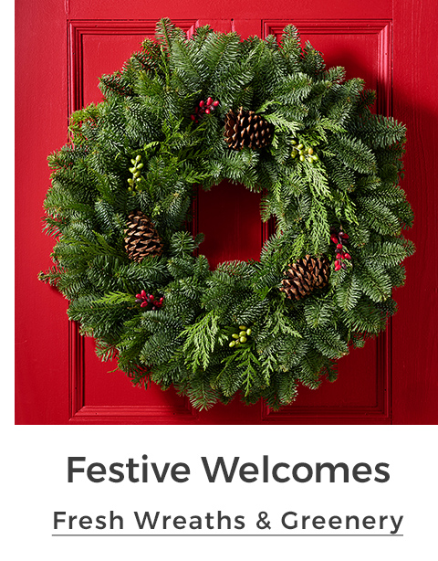 Festive Welcomes
