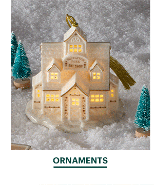 ORNAMENTS