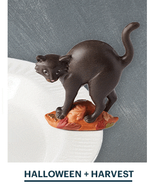 HALLOWEEN + HARVEST