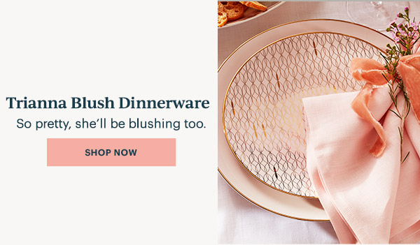 Trianna Blush Dinnerware  So pretty, she'll be blushing too.  [SHOP NOW]
