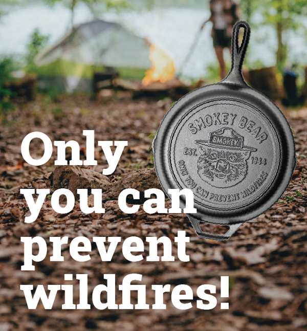Only you can prevent wildfires!
