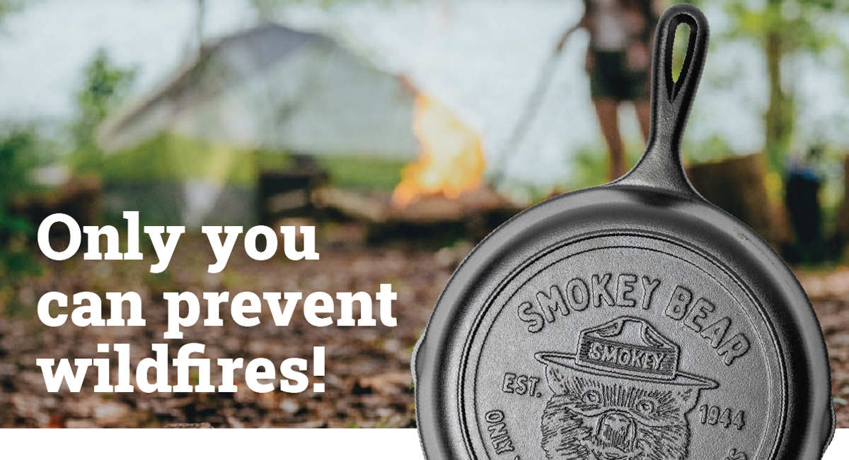 Only you can prevent wildfires!