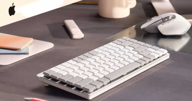 Apple keyboard and mouse