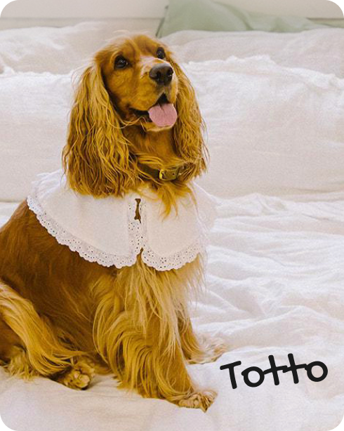 Totto