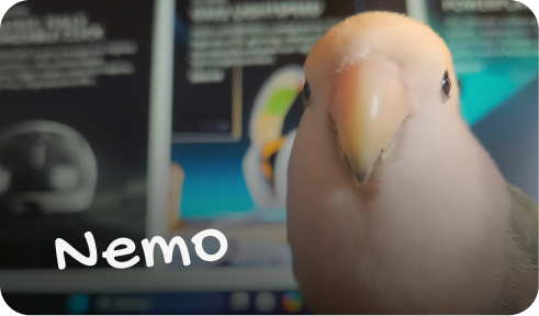 Nemo