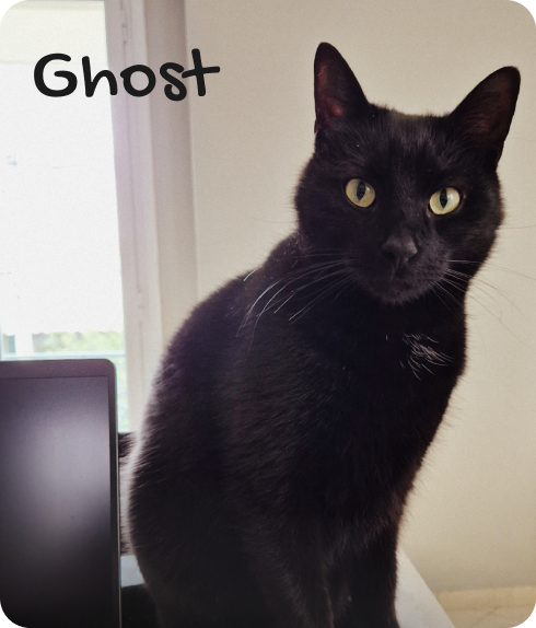 Ghost