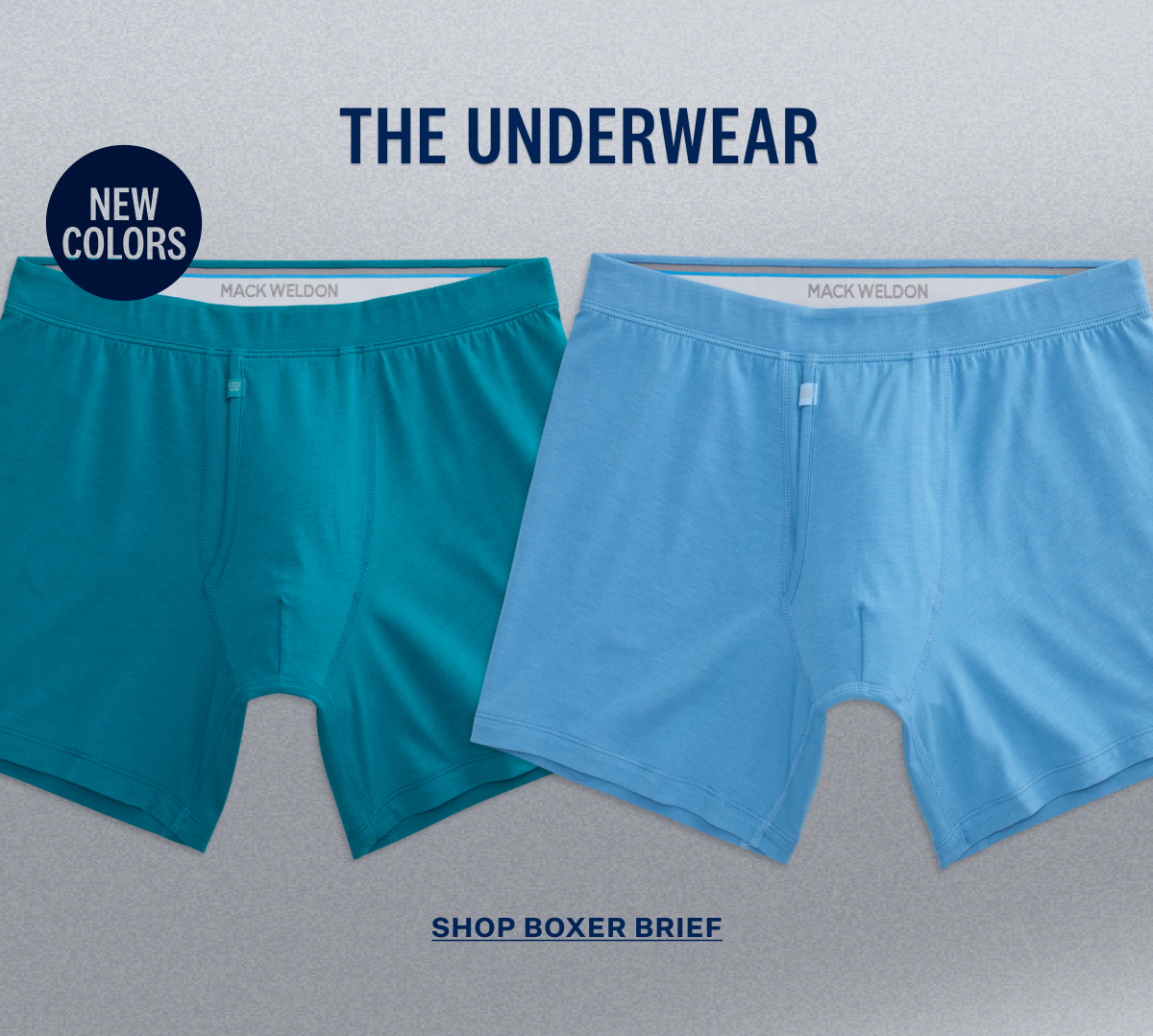 SILVER Boxer Brief