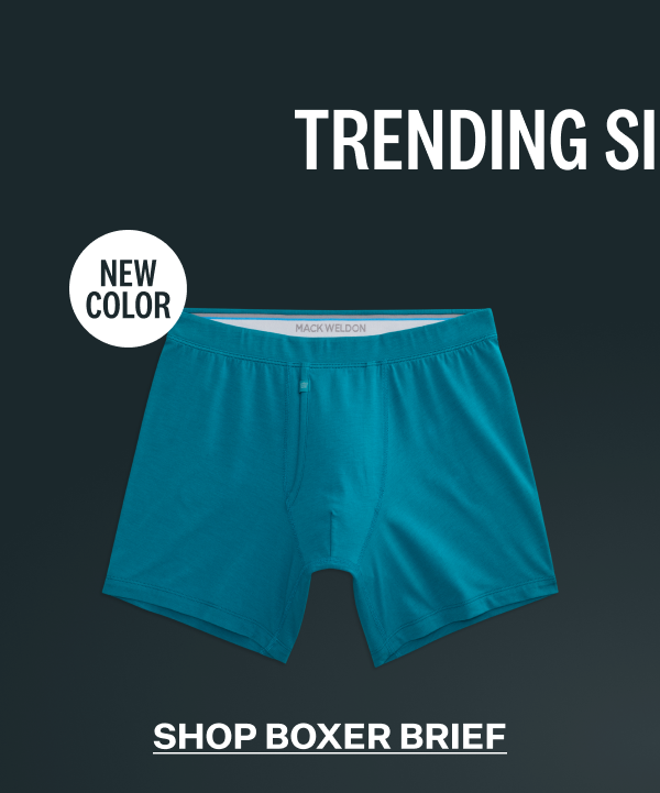 SILVER Boxer Brief