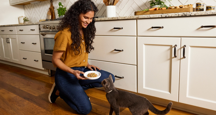 An owner kneels on the kitchen floor and offers their grey cat a plate filled with Merrick wet food