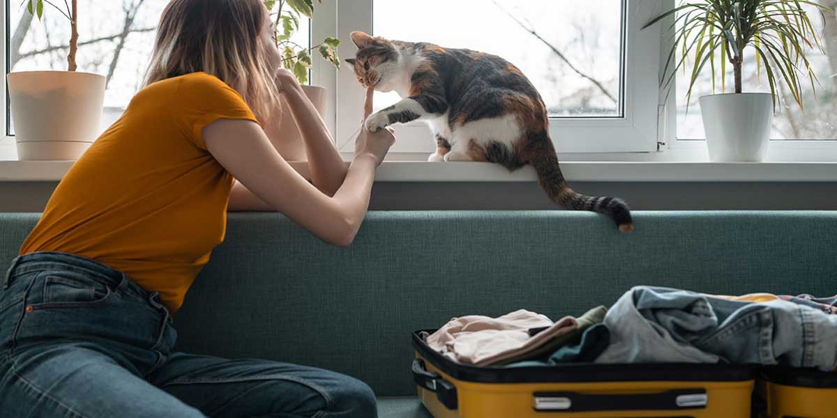 A woman playing with cat on the window sill as she packs and you see her suitcase on the sofa.