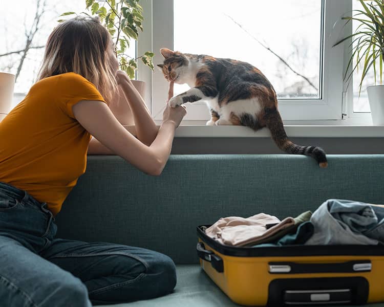 A woman playing with cat on the window sill as she packs and you see her suitcase on the sofa.