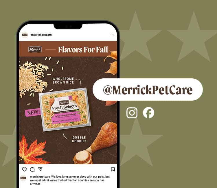 A phone showing Merrick instagram and social media icons.