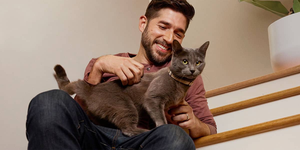Man petting a grey cat standing on lap while he is sitting.