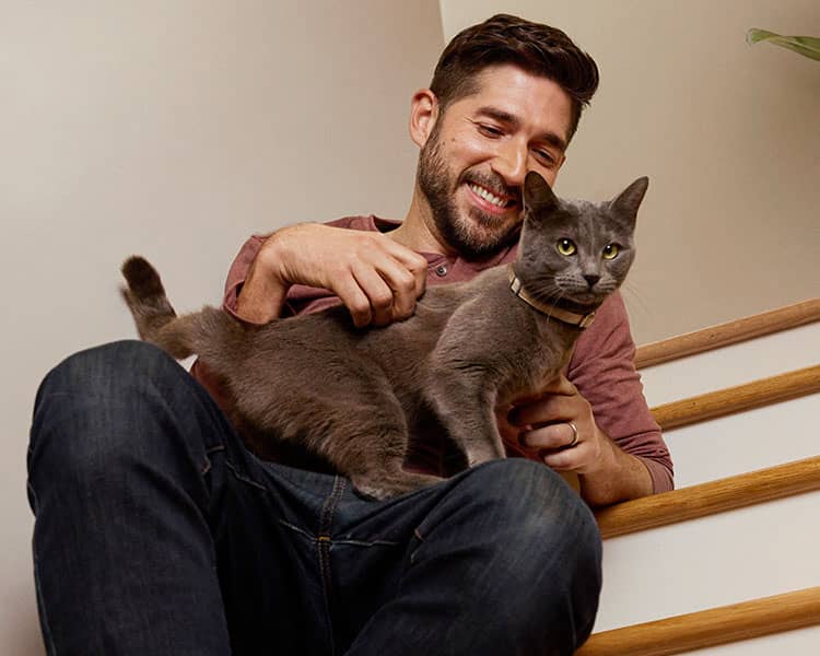 Man petting a grey cat standing on lap while he is sitting.