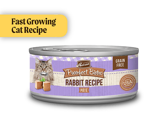 Fast Growing Cat Recipe