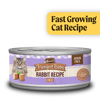 Fast Growing Cat Recipe