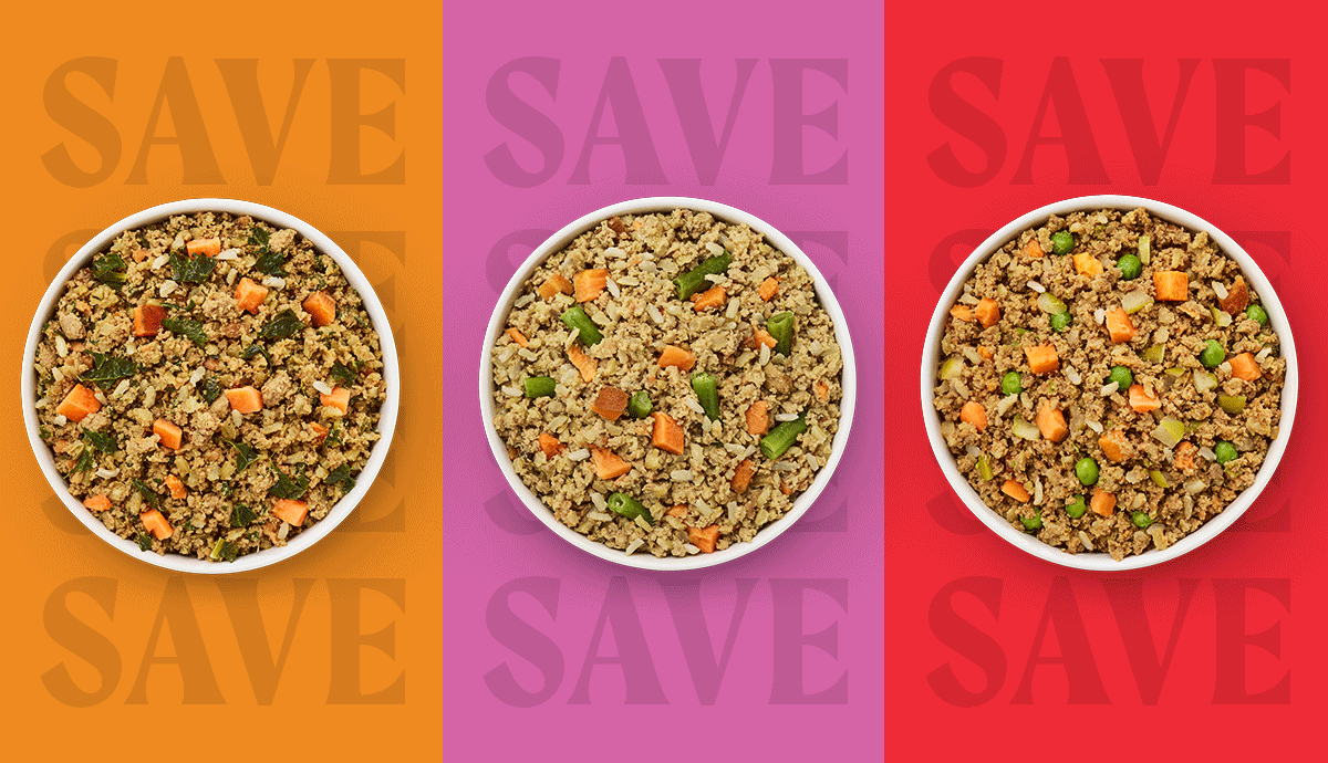 Three bowls filled with Merrick Fresh Selects food then changing into the packaging.