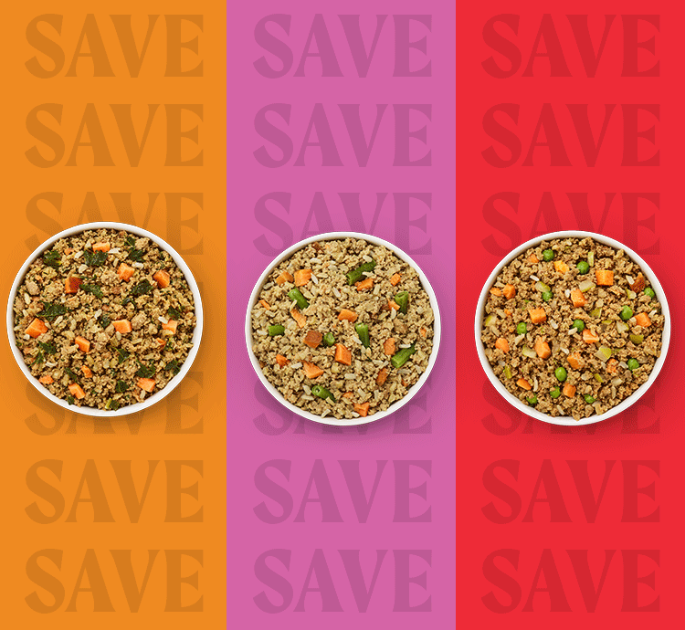 Three bowls filled with Merrick Fresh Selects food then changing into the packaging.