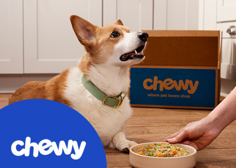 A corgi being served a bowl of Merrick Fresh Selects dog food with a Chewy box in the background.