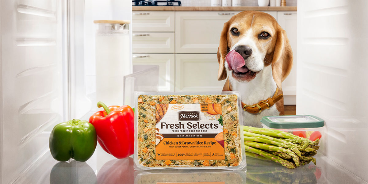 Beagle licking their lips as they view inside the fridge to see Merrick Fresh Selects dog food package surrounded by a few fresh produce.
