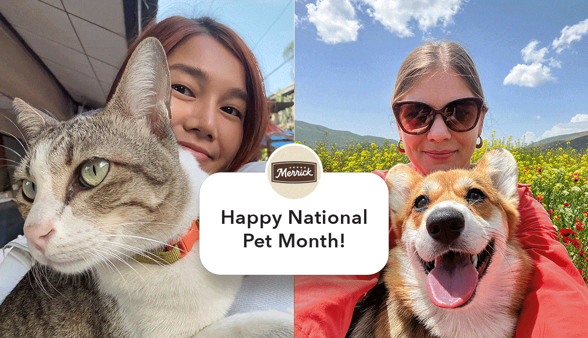 Woman holding her dog for a selfie and a man holding his cat for a selfie.