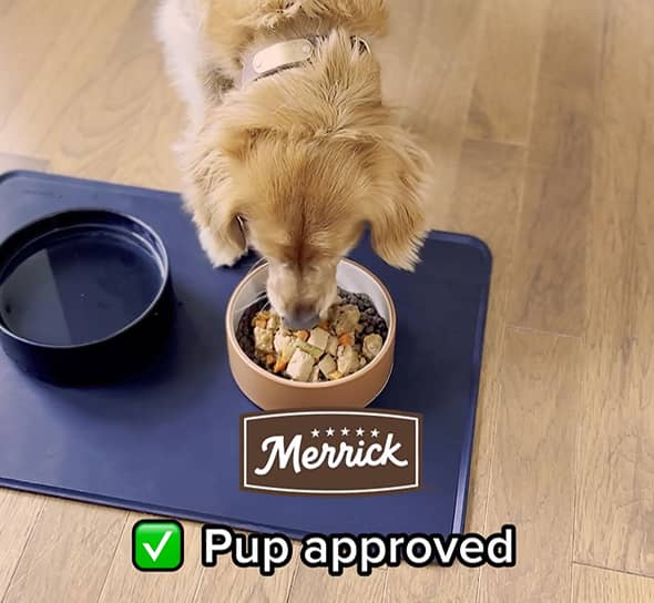 A golden retriever eats a mix of Merrick dry and wet dog food in a bowl on a mat next to the words Pup approved.