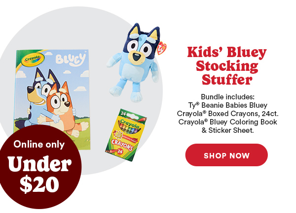 Kids' Bluey Stocking Stuffer