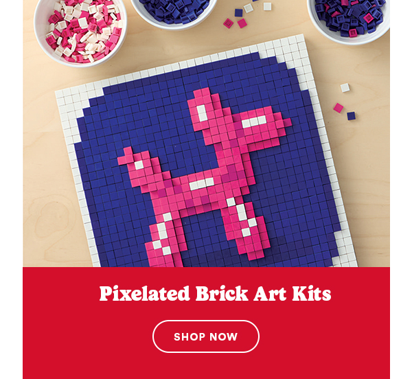 Brick Art Kits SHOP NOW