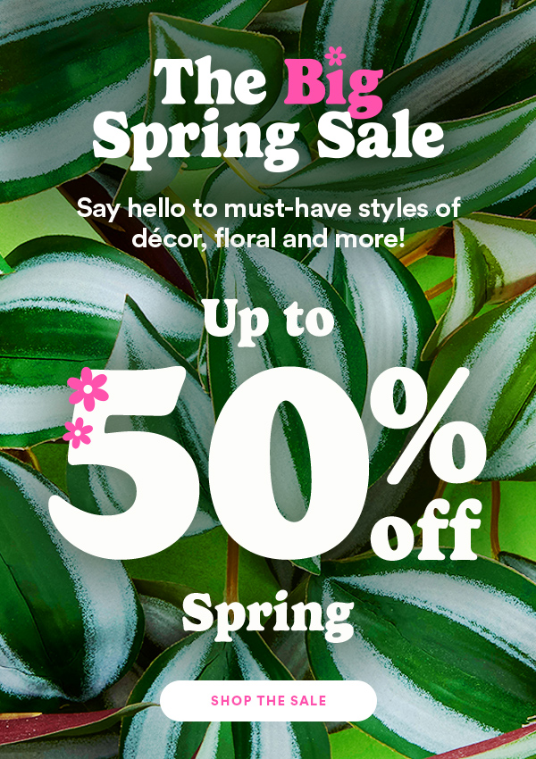 The Big Spring Sale Up to 50% off Spring Shop The Sale