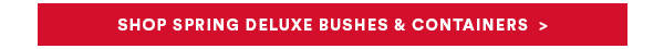 SHOP SPRING DELUXE BUSHES & CONTAINERS >