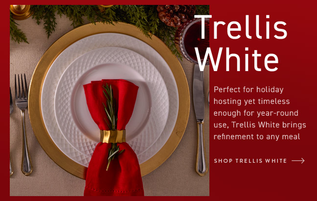 Shop Trellis White