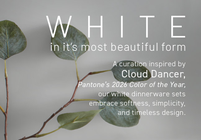 WHITE in it's most beautiful form... dinnerware sets!