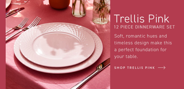 Shop Trellis Pink 12 Piece Dinnerware Set