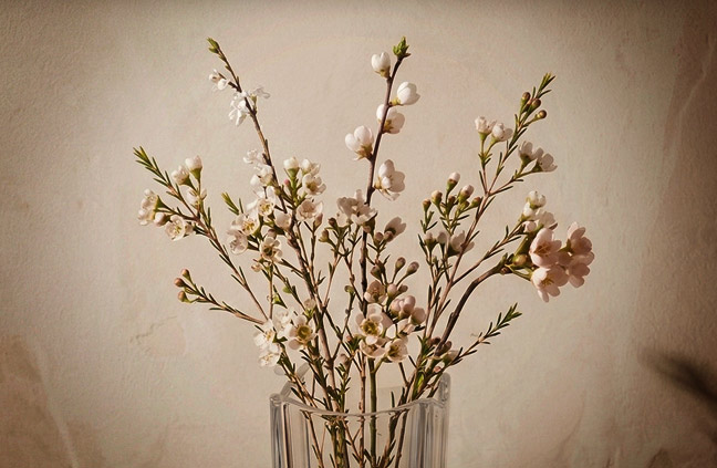 To Mom, with Love
