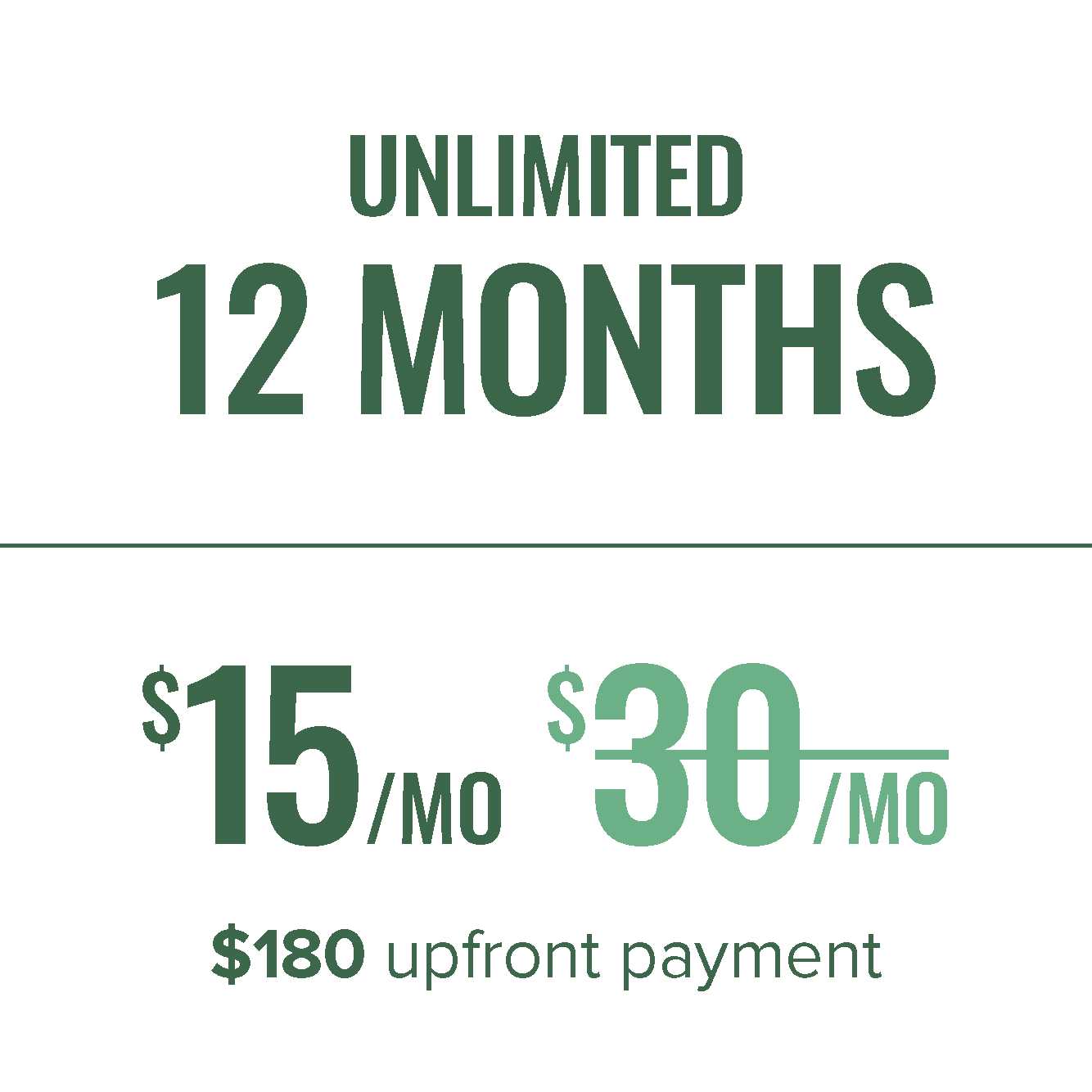 12 Month Plan $180 Upfront Payment