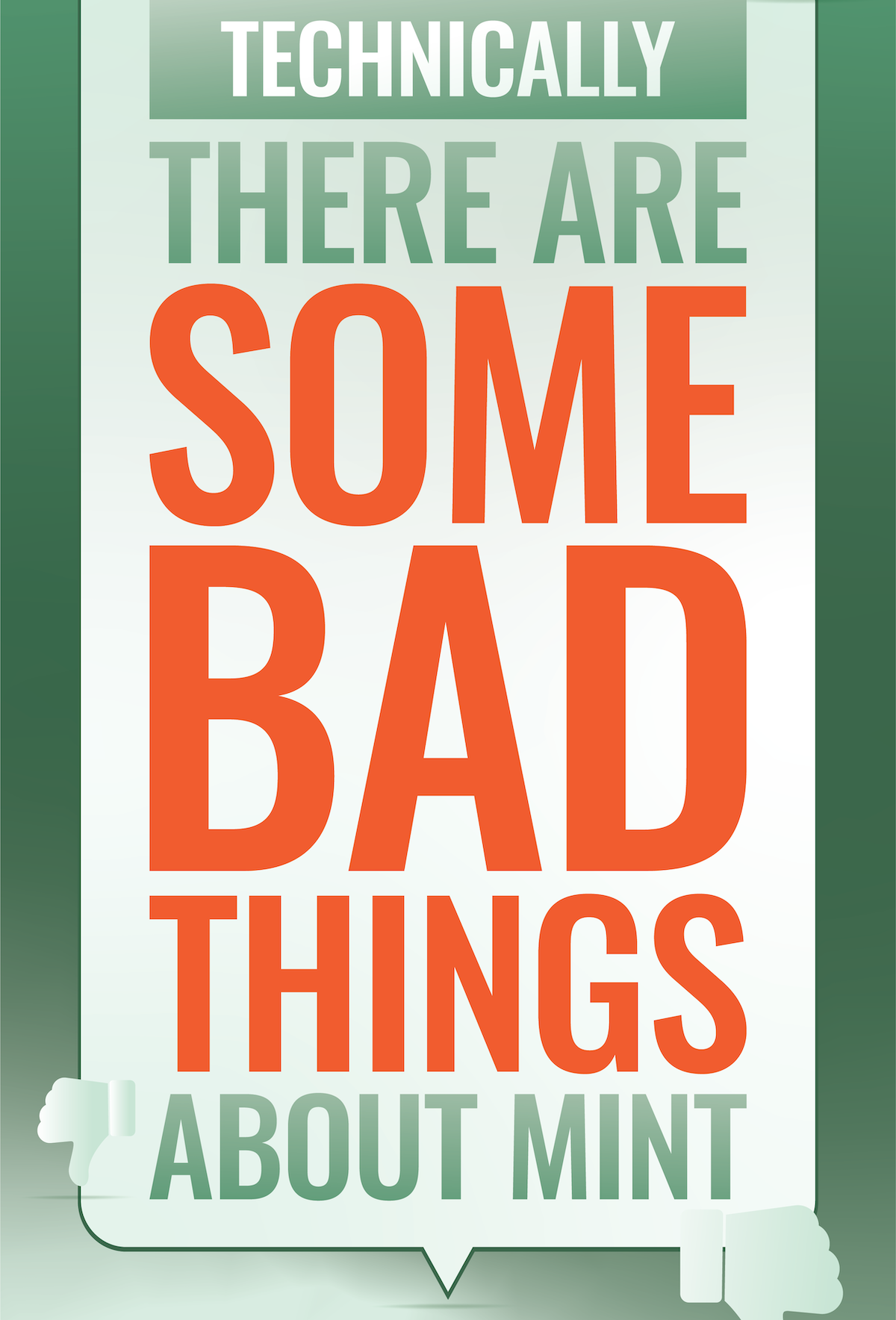 Technically there are some bad things about Mint 