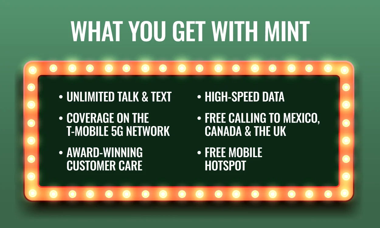 What you get with Mint