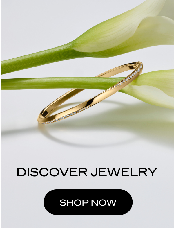 DISCOVER JEWELRY