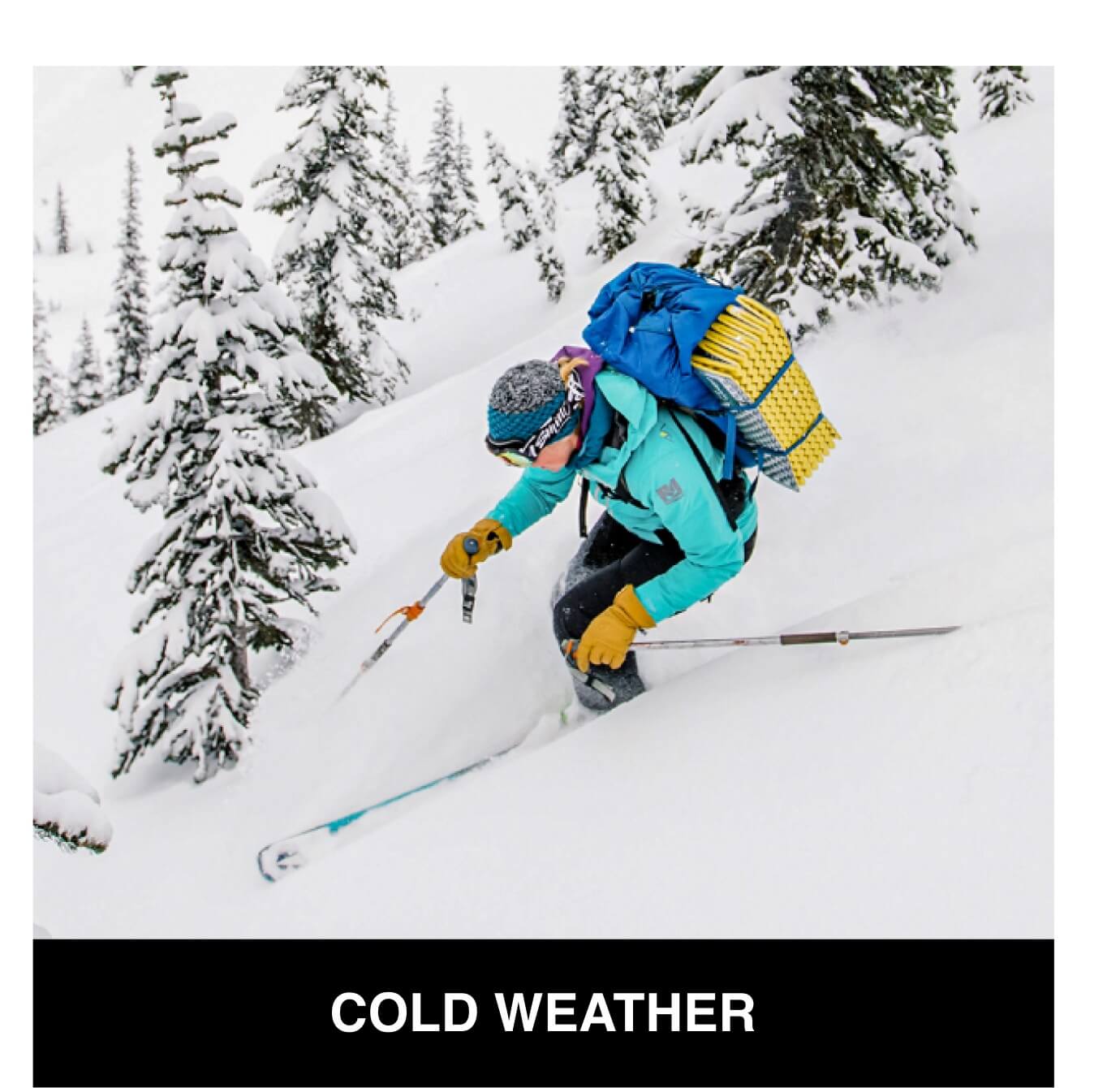Welcome_MSRColdWeather