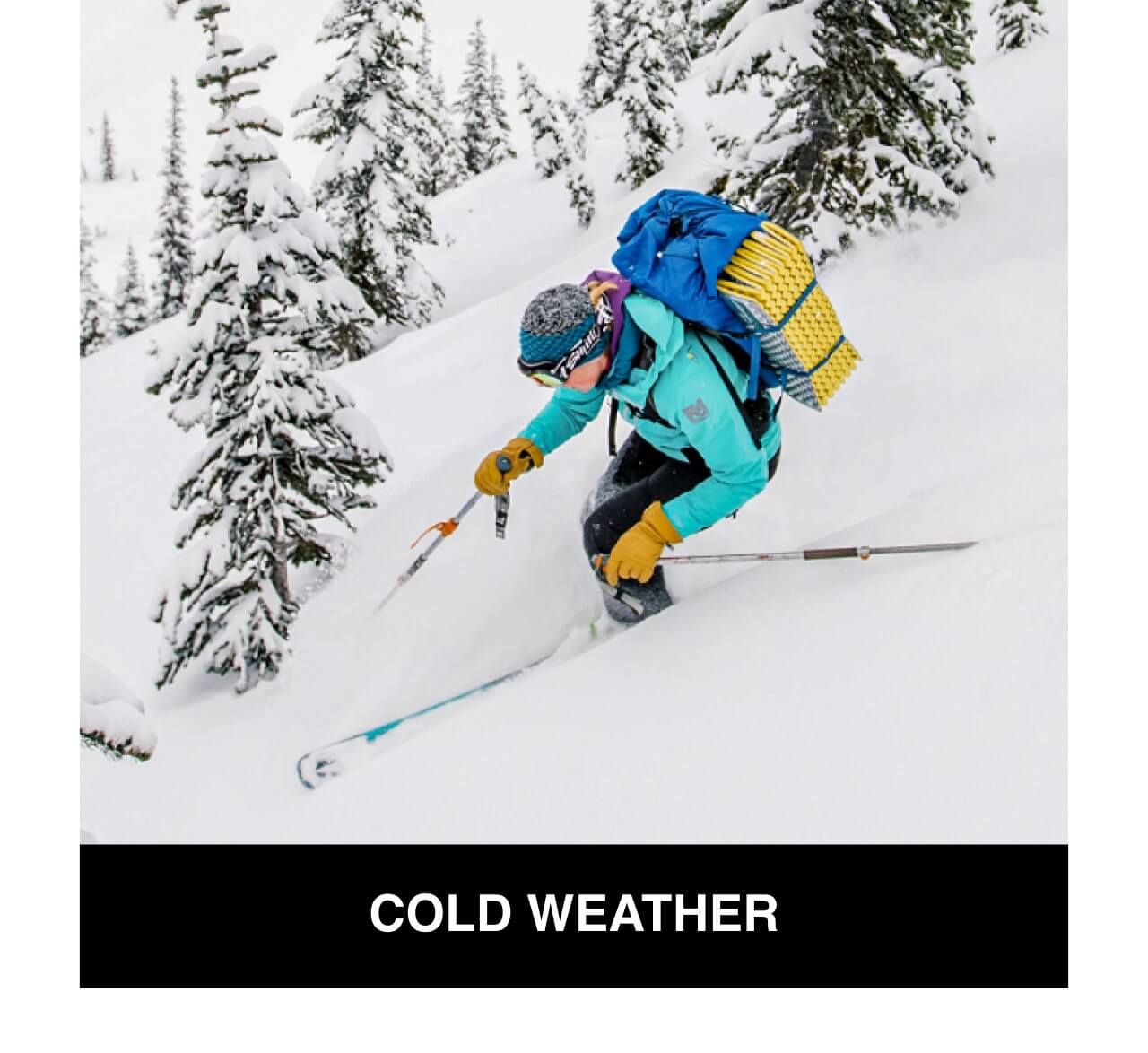 Welcome_MSRColdWeather