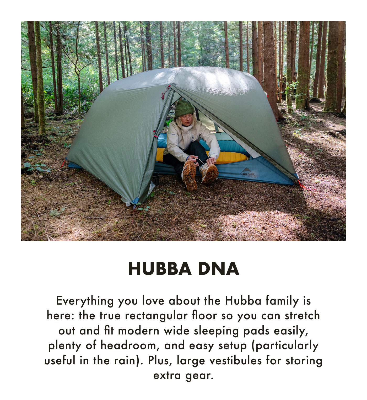 Hubba_DNA