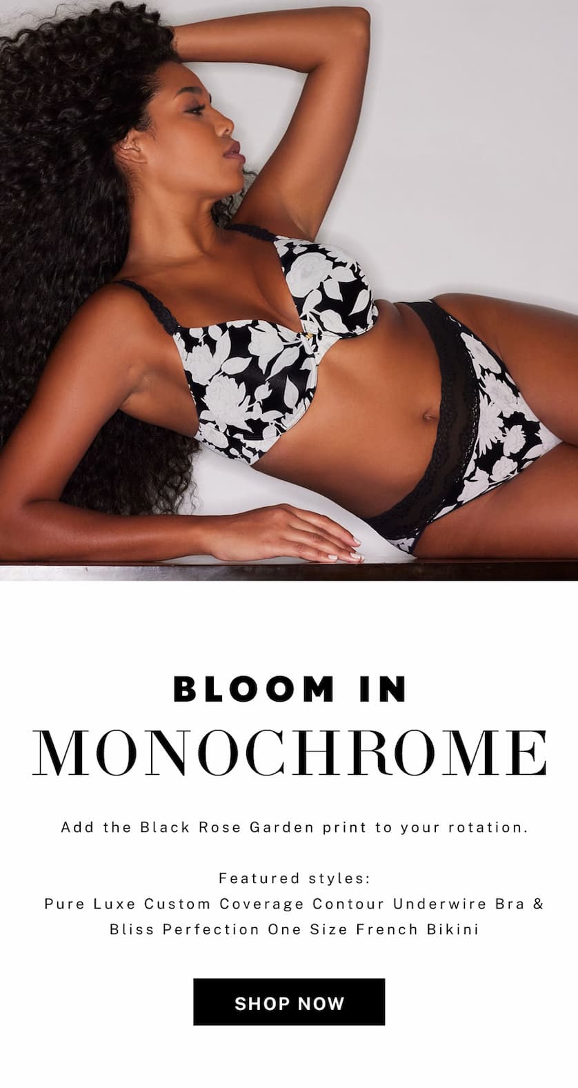Discover Your Next Favorite Bliss Print