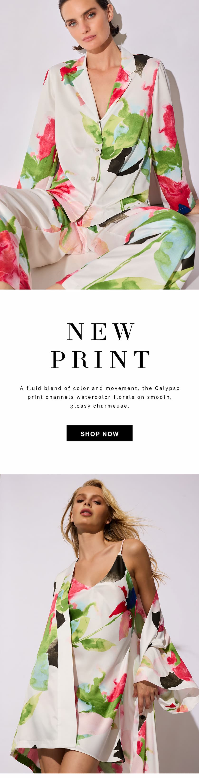 A fluid blend of color and movement.