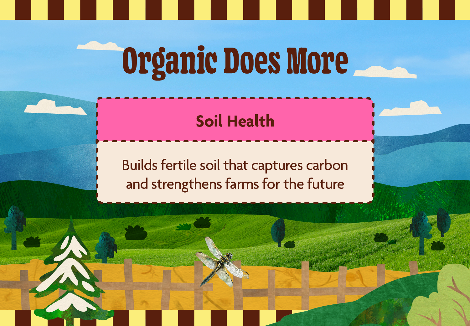 Soil Health -  Builds fertile soil that captures carbon and strengthens farms for the future.
